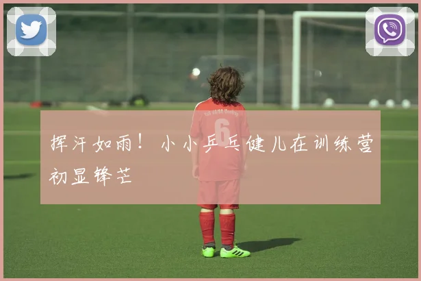 挥汗如雨!小小乒乓健儿在训练营初显锋芒