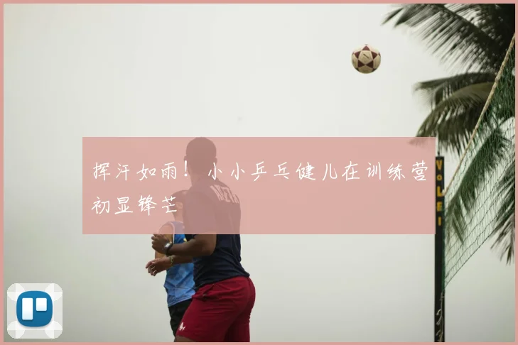 挥汗如雨！小小乒乓健儿在训练营初显锋芒