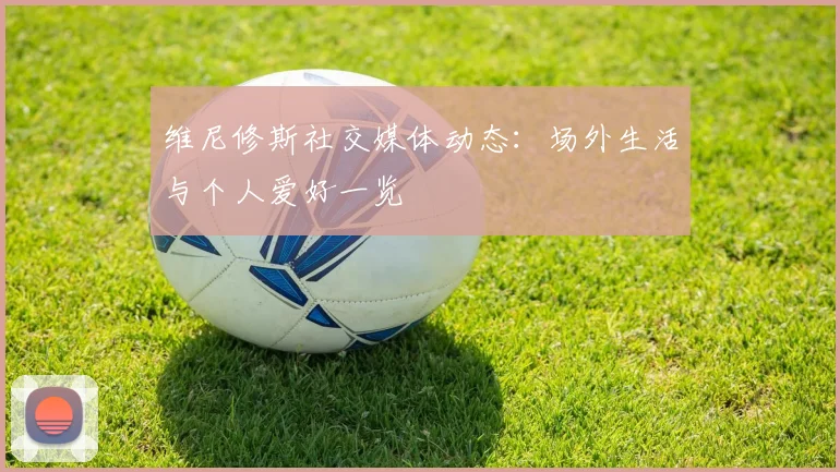 维尼修斯社交媒体动态：场外生活与个人爱好一览